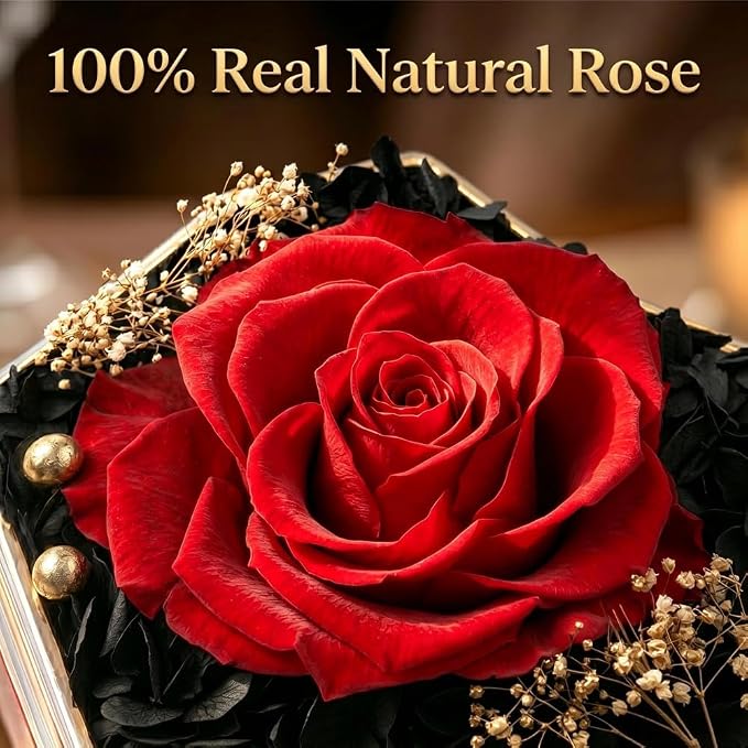 Preserved Real Rose with I Love You Necklace – Romantic Gift