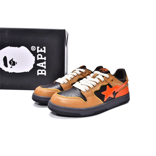 BAPESTA Sk8 Low Brown Shoes