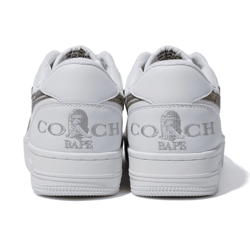 BAPESTA x Coach Shoes