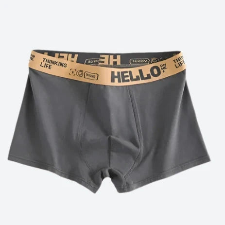 Playful Printed Waistband 6 Pieces Boxer Shorts